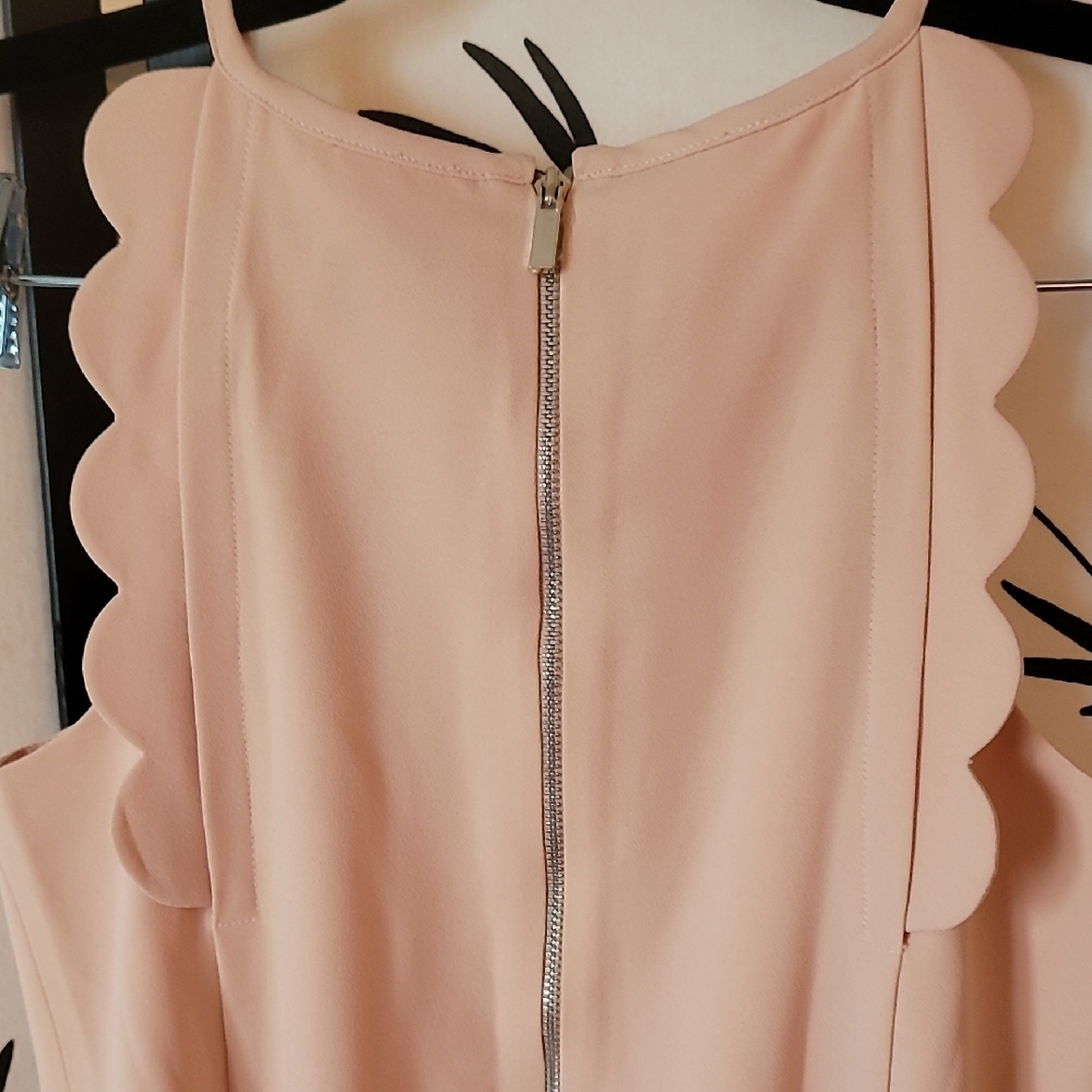 Ann Taylor Blush Scalloped Mini Dress - Picture 5 of 6